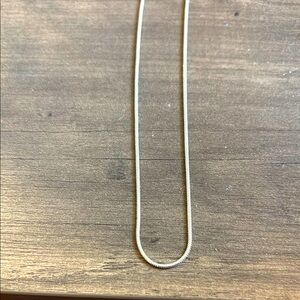 Sleek Silver Snake Chain Necklace